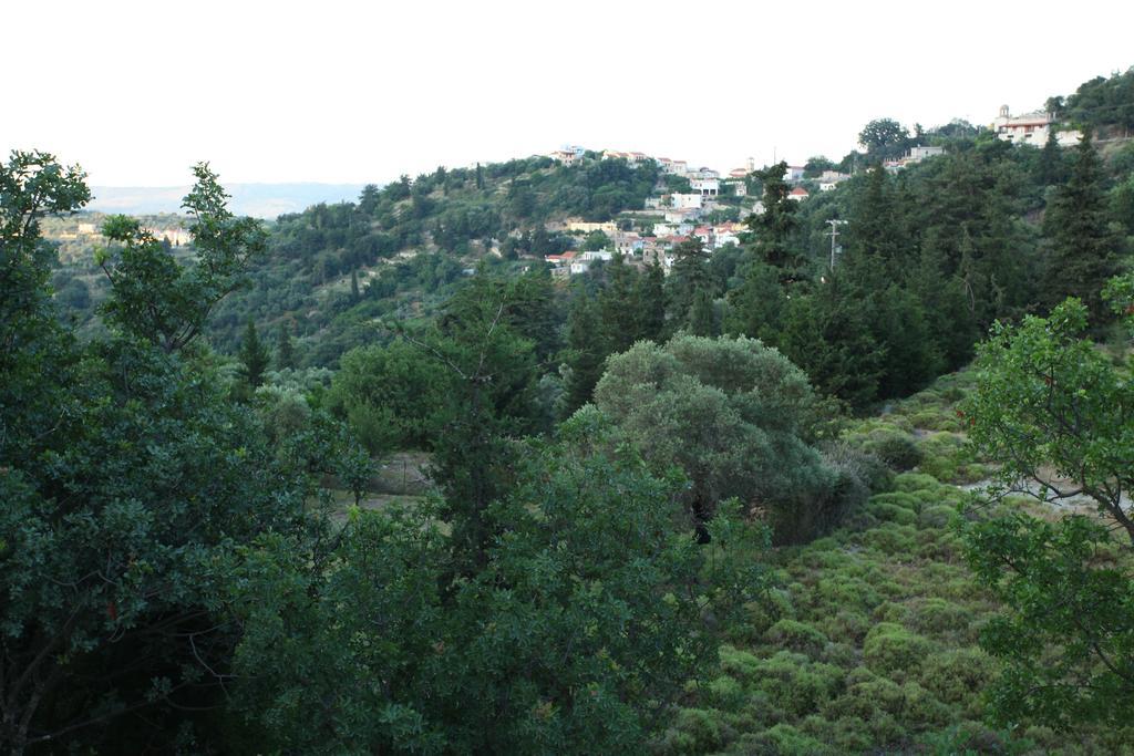Villa Athina Aryiroúpolis Rom bilde
