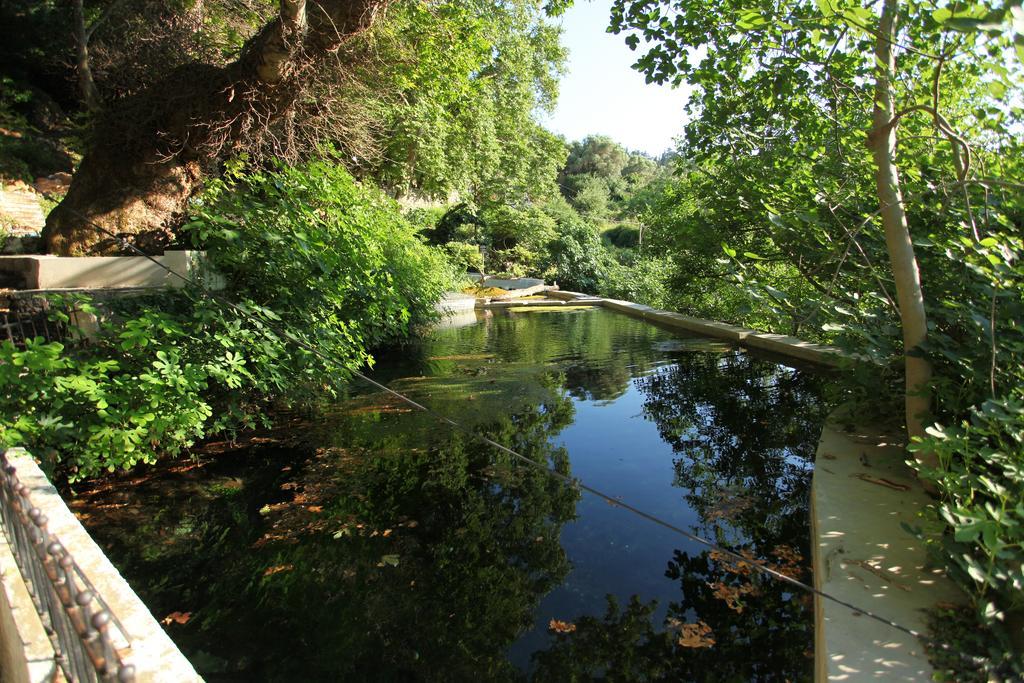 Villa Athina Aryiroúpolis Rom bilde